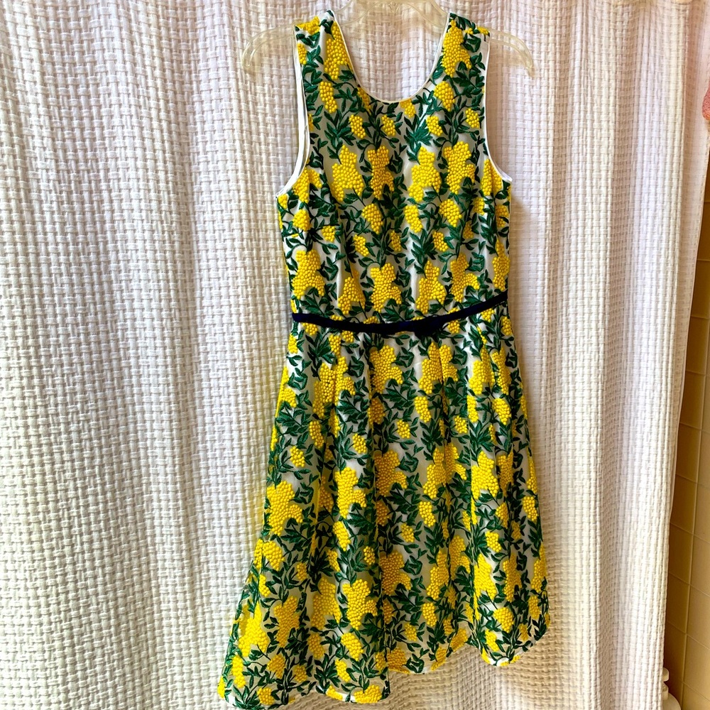 Draper James embroidered lemon dress